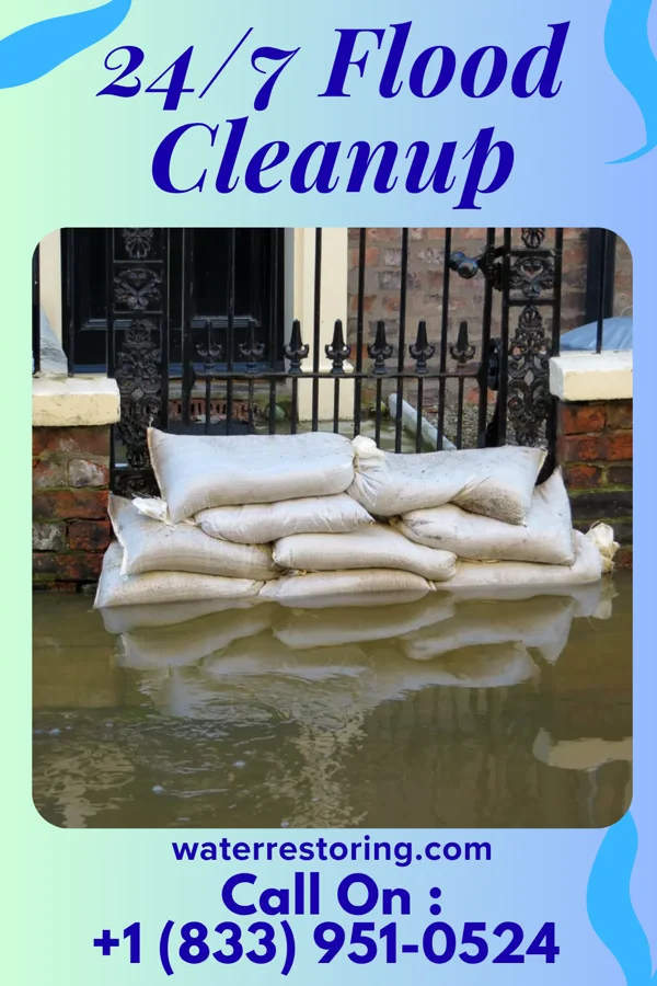 24/7 Flood Cleanup in Elm Creek, TX