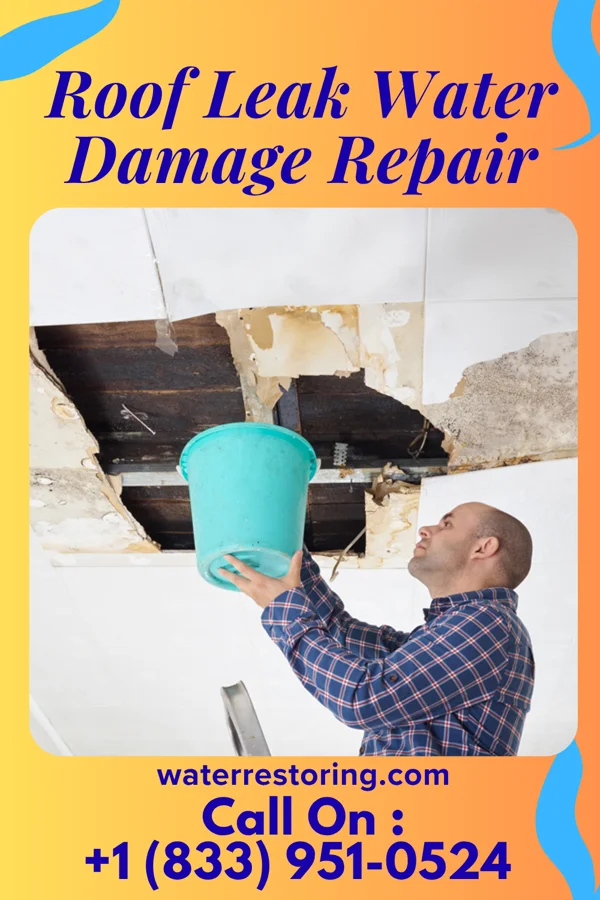 Roof Leak Water Damage Repair in Elm Creek, TX
