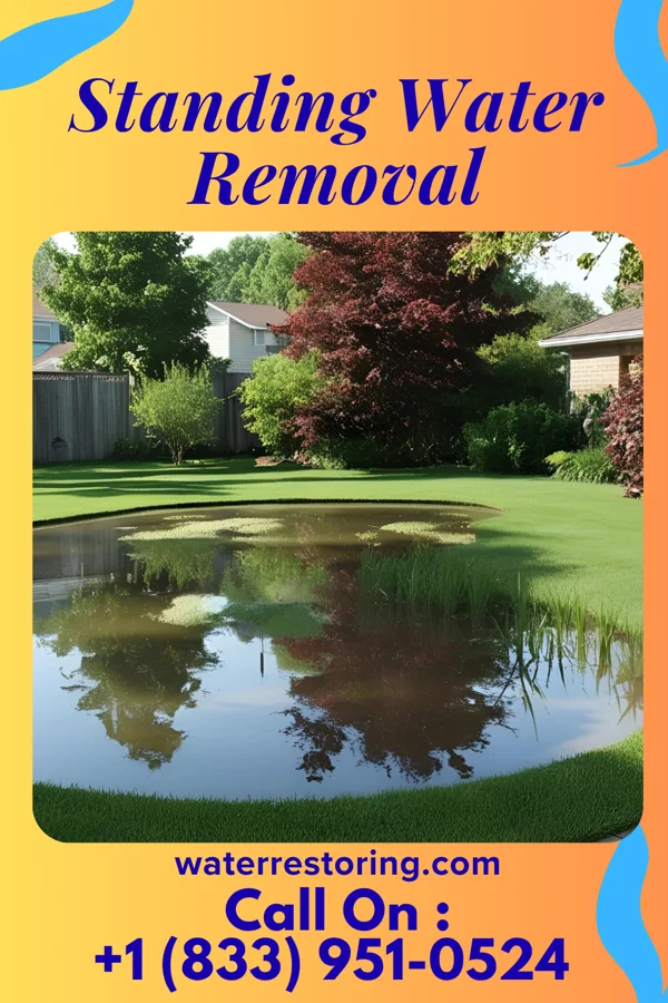 Standing Water Removal in Elm Creek, TX